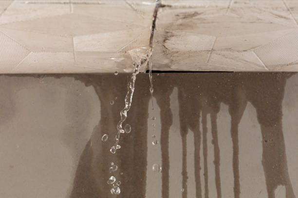 Professional Flood Damage Cleanup technician working in Tripoli, IA